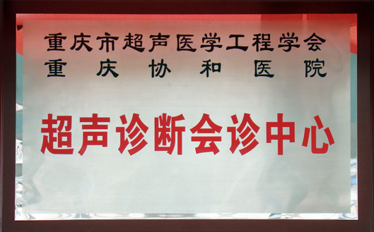 重庆市超声医学工程学会超声诊断会诊中心